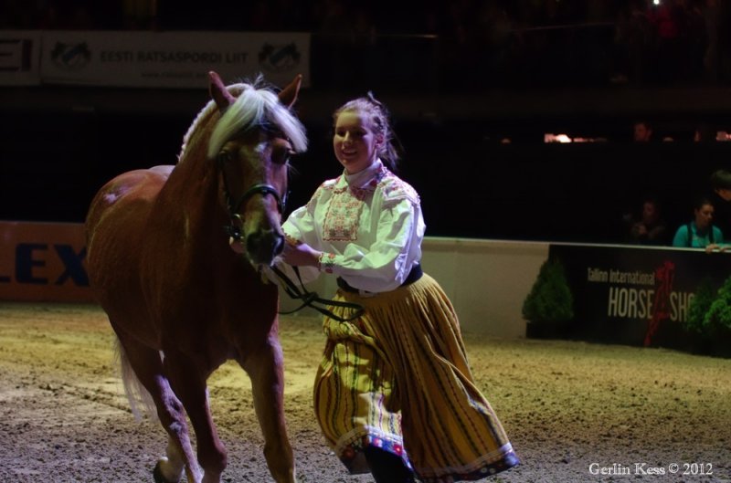 Horse Show 07.10.2012